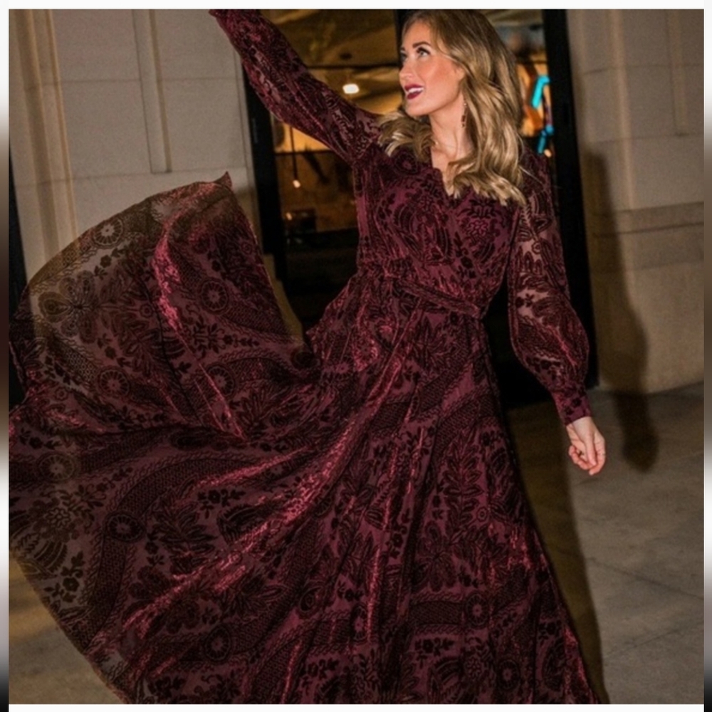 Ivy City Sasha Burnout Velvet Dress NWT